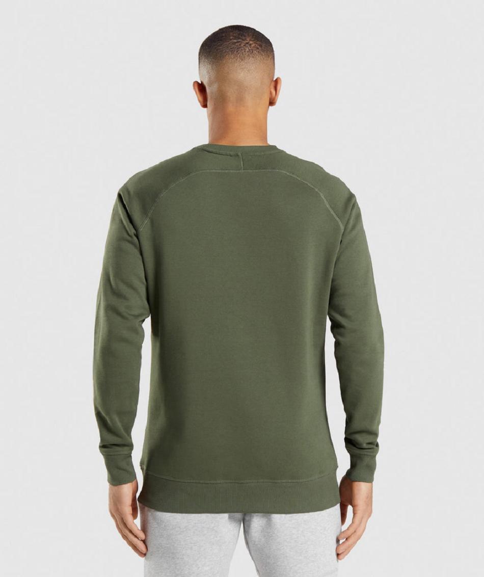 Correr Con Capucha Gymshark Crest Sweatshirt Hombre Verde Oliva | CO 3663AHK